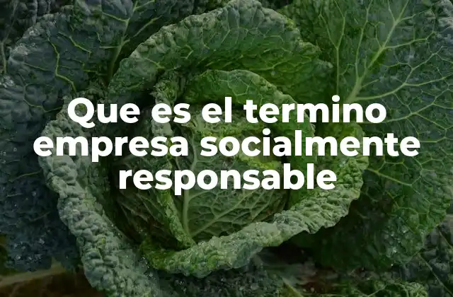 Que es el Termino Empresa Socialmente Responsable