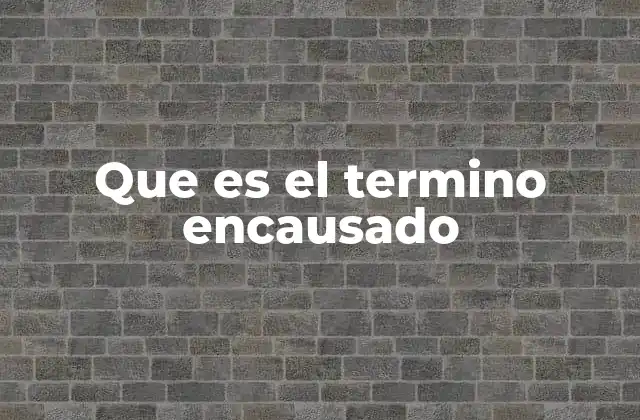 Que es el Termino Encausado 2 El encausado y su posición en el sistema judicial