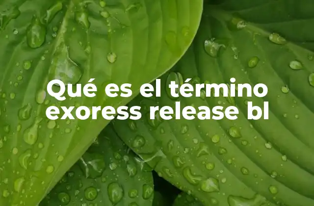 Qué es el Término Exoress Release Bl 2 El contexto en el que podría aparecer el término exoress release bl