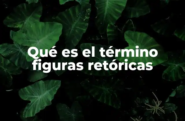 Qué es el Término Figuras Retóricas