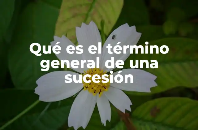 Cómo se construye una sucesión a partir de una fórmula
