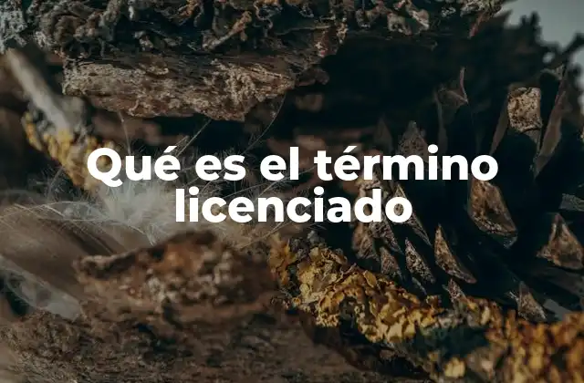 El uso del término licenciado en contextos académicos