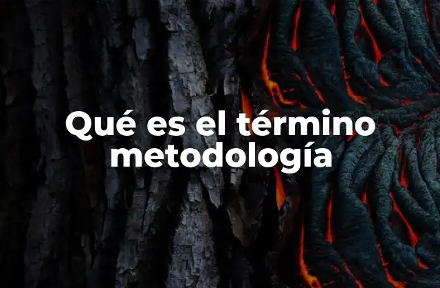 Qué es el Término Metodología