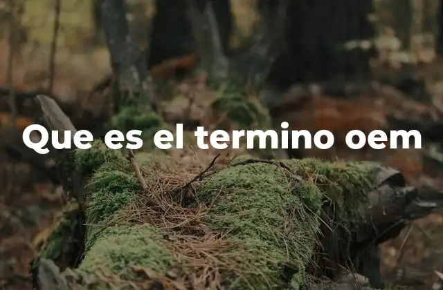 Que es el Termino Oem