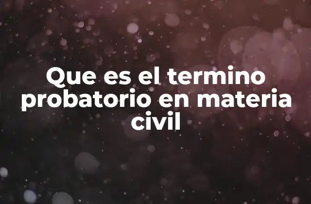 Que es el Termino Probatorio en Materia Civil