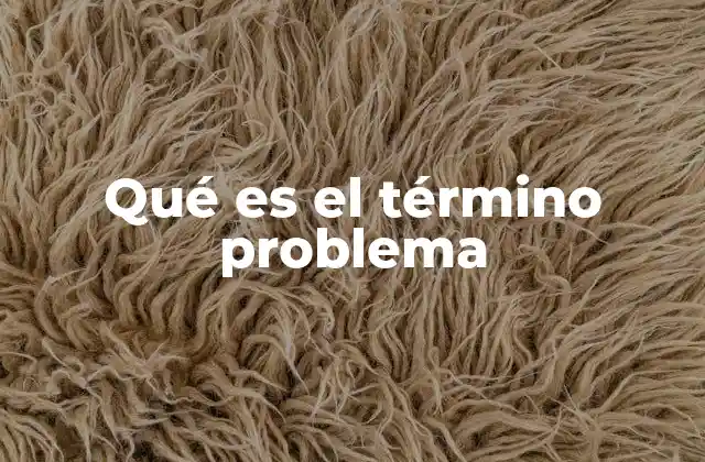 Qué es el Término Problema