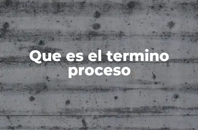 Que es el Termino Proceso