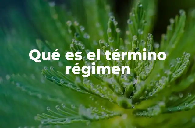 Qué es el Término Régimen