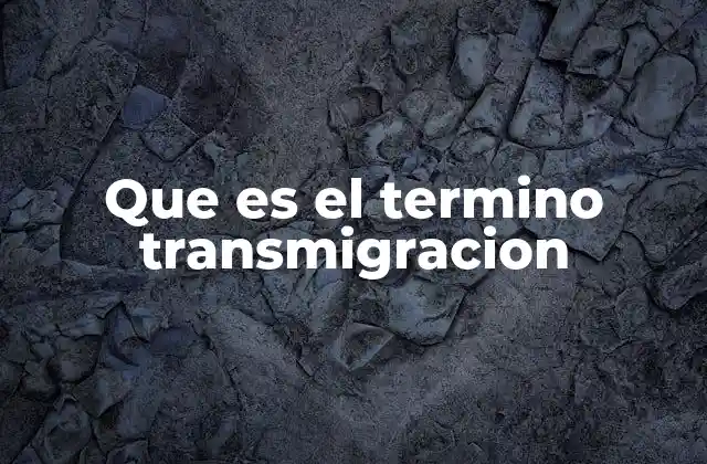Que es el Termino Transmigracion