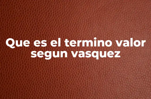 Que es el Termino Valor Segun Vasquez