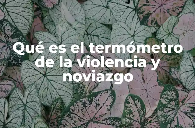 Qué es el Termómetro de la Violencia y Noviazgo