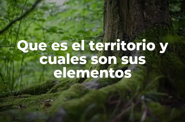 Que es el Territorio y Cuales Son Sus Elementos