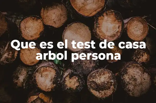 Que es el Test de Casa Arbol Persona