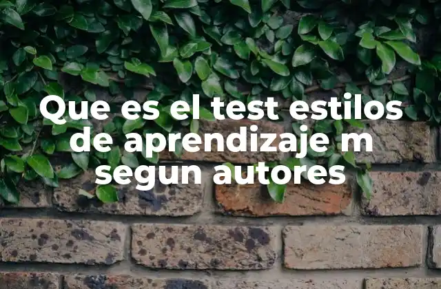 Que es el Test Estilos de Aprendizaje M Segun Autores