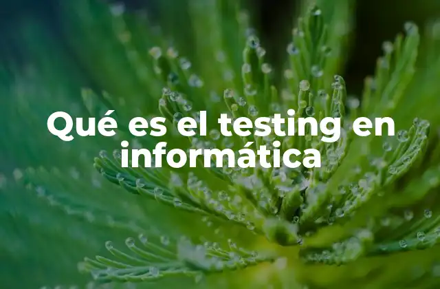 Qué es el Testing en Informática