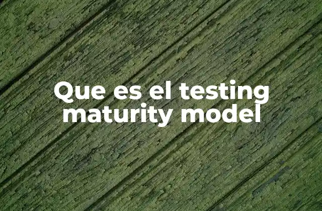 Que es el Testing Maturity Model