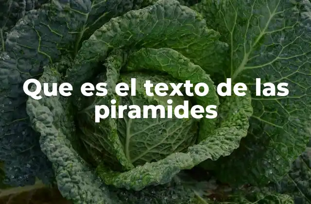 Que es el Texto de las Piramides 2 El legado escrito en piedra