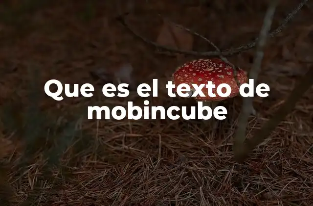 Que es el Texto de Mobincube
