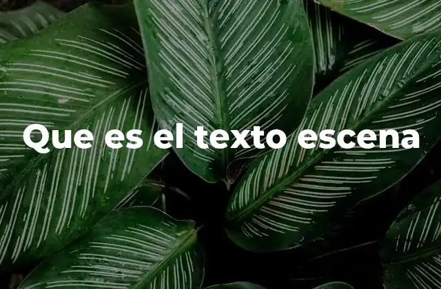 Que es el Texto Escena