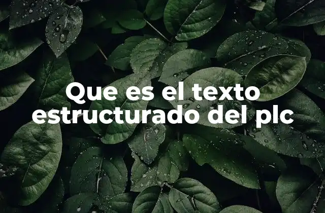Que es el Texto Estructurado Del Plc