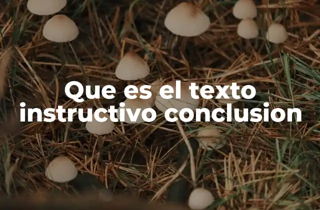 Que es el Texto Instructivo Conclusion