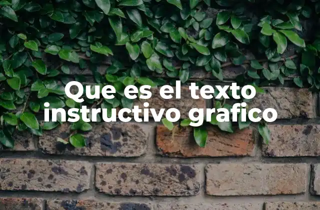 Que es el Texto Instructivo Grafico