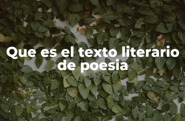 Que es el Texto Literario de Poesia