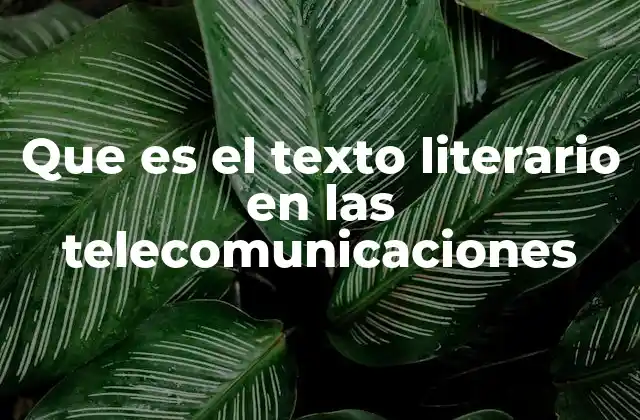 Que es el Texto Literario en las Telecomunicaciones