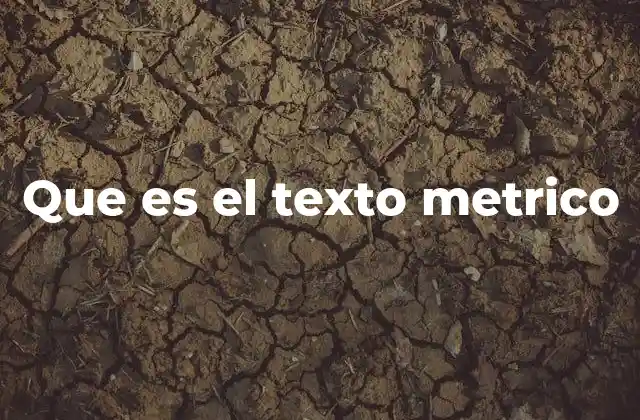 Que es el Texto Metrico