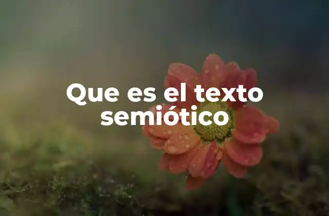 Que es el Texto Semiótico 2 La construcción del sentido a través de los signos