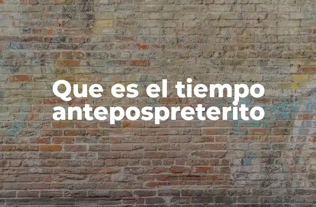 Que es el Tiempo Antepospreterito