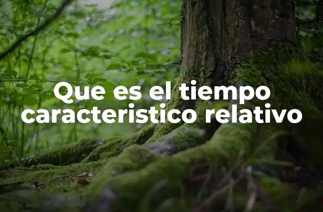 Que es el Tiempo Caracteristico Relativo