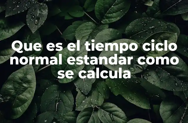 Que es el Tiempo Ciclo Normal Estandar como Se Calcula