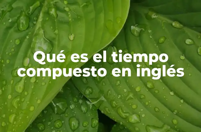 La importancia de los tiempos compuestos en la gramática inglesa