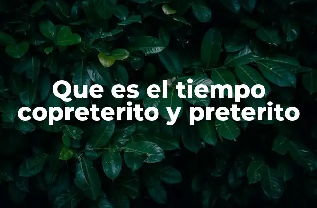 La importancia de los tiempos verbales en la comunicación