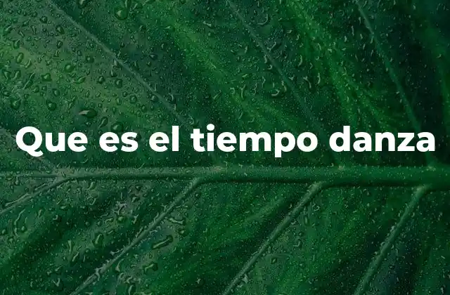Que es el Tiempo Danza