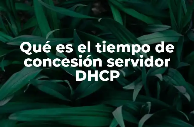 Qué es el Tiempo de Concesión Servidor Dhcp
