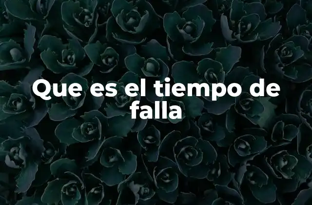 Que es el Tiempo de Falla