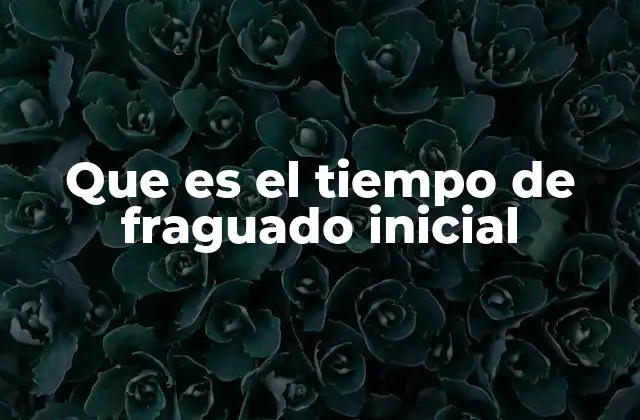Que es el Tiempo de Fraguado Inicial
