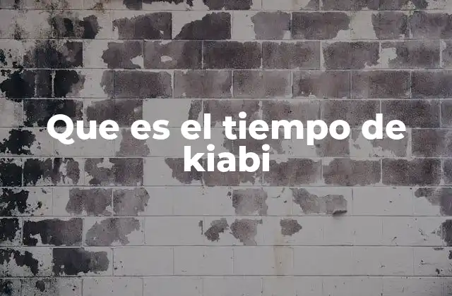 Que es el Tiempo de Kiabi