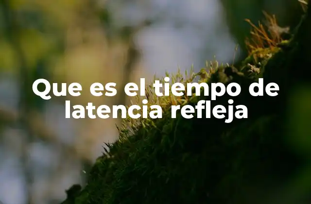 Que es el Tiempo de Latencia Refleja