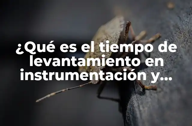 ¿qué es el Tiempo de Levantamiento en Instrumentación y Control?