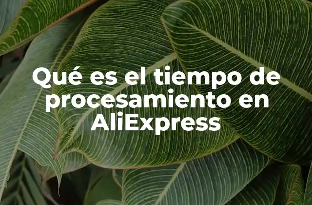 Qué es el Tiempo de Procesamiento en Aliexpress