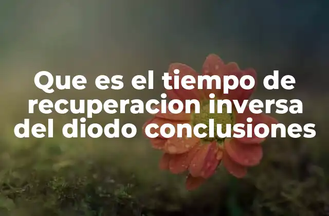 Que es el Tiempo de Recuperacion Inversa Del Diodo Conclusiones