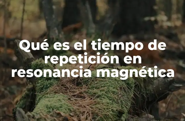 Qué es el Tiempo de Repetición en Resonancia Magnética