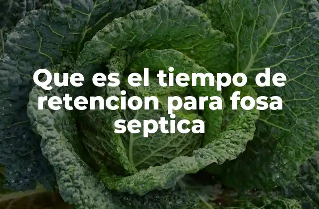 Que es el Tiempo de Retencion para Fosa Septica 2 Importancia del tiempo de retención en el funcionamiento de una fosa séptica
