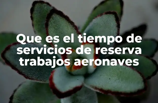 Que es el Tiempo de Servicios de Reserva Trabajos Aeronaves