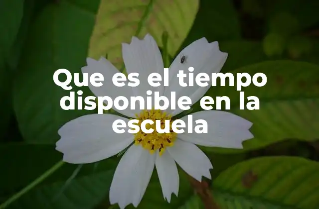 Que es el Tiempo Disponible en la Escuela