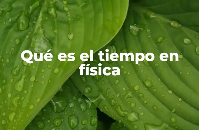 Qué es el Tiempo en Física