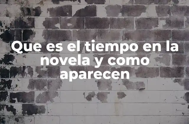 Que es el Tiempo en la Novela y como Aparecen